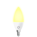 Torch E14