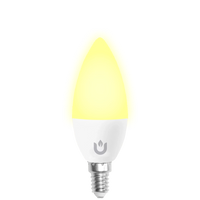 Torch E14