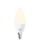 Torch E14